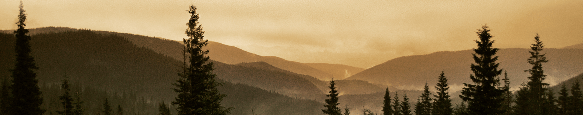 Default Pages Banner